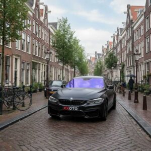Chameleon tint Paars blauw xxoto