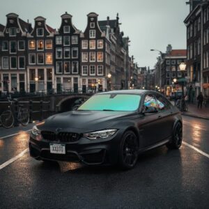 Chameleon tint Groen 1