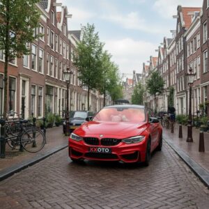Chameleon tint Rood